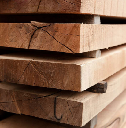 تفاوت چوب راش و روس در چیست؟